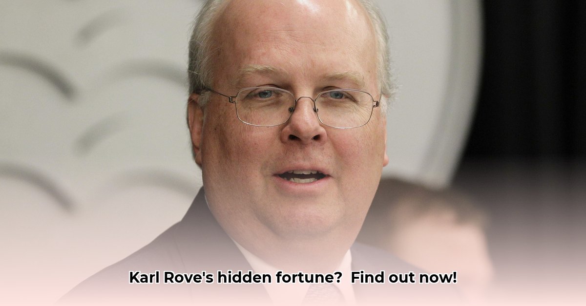 how-much-is-karl-rove-worth